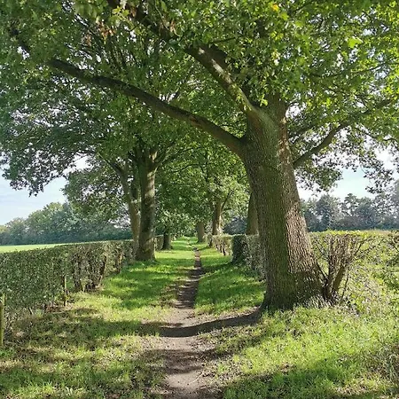 Johannesberg Nocleg ze śniadaniem 3*