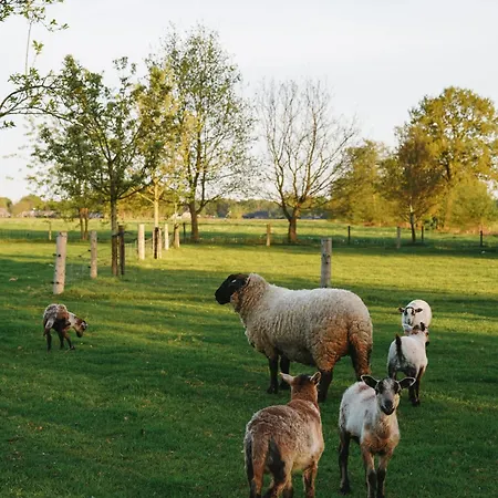Nocleg ze śniadaniem Johannesberg 3*