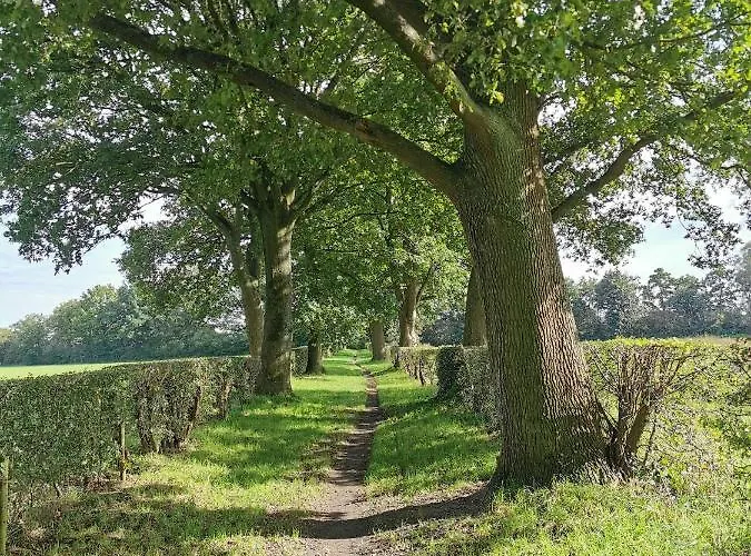 Johannesberg Bed & Breakfast 3*