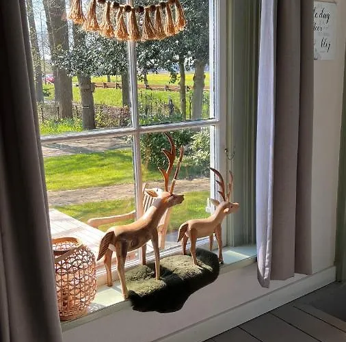 Bed & Breakfast Johannesberg Oldebroek