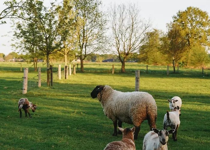 Bed & Breakfast Johannesberg 3*