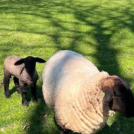 Johannesberg Oda ve Kahvaltı