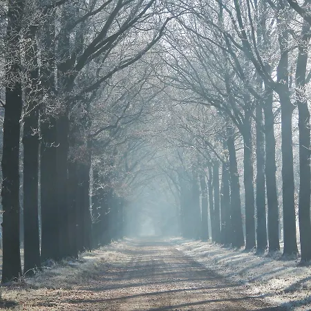 Johannesberg * Oldebroek
