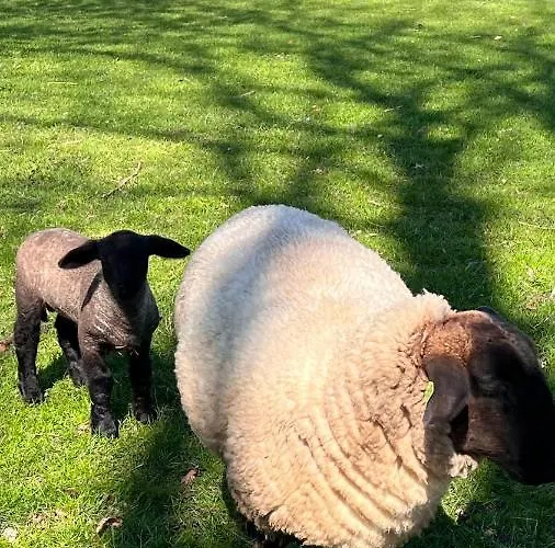 Johannesberg فندق مبيت وإفطار