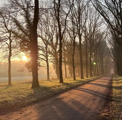 Johannesberg فندق مبيت وإفطار