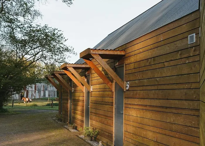 Johannesberg Oldebroek