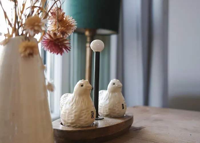 Johannesberg 3* Oldebroek